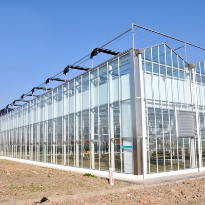 Serre en verre à semis à longue portée à chauffage à l'eau chaude destinée à la culture hydroponique