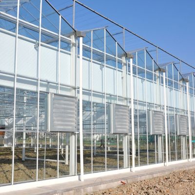 Serre en verre à semis à longue portée à chauffage à l'eau chaude destinée à la culture hydroponique