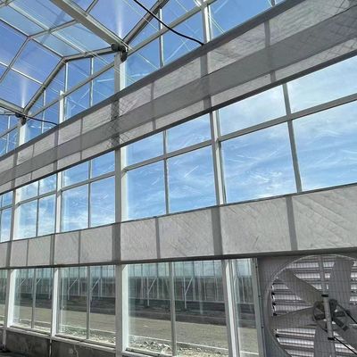Serre à haute humidité contrôlée à plusieurs étages de type Venlo pour semis hydroponiques