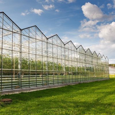 Serre à haute humidité contrôlée à plusieurs étages de type Venlo pour semis hydroponiques