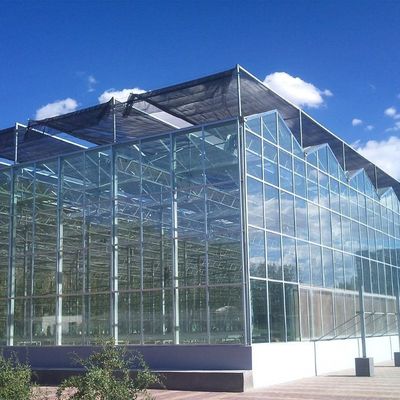 Serre à haute humidité contrôlée à plusieurs étages de type Venlo pour semis hydroponiques