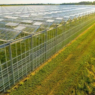 Origine Serre en verre végétale et florale avec méthode de culture hydroponique