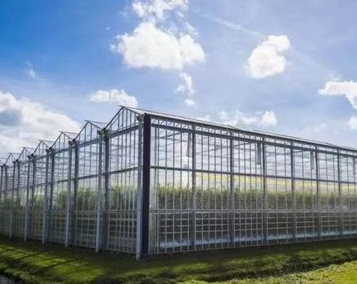 Origine Serre en verre végétale et florale avec méthode de culture hydroponique