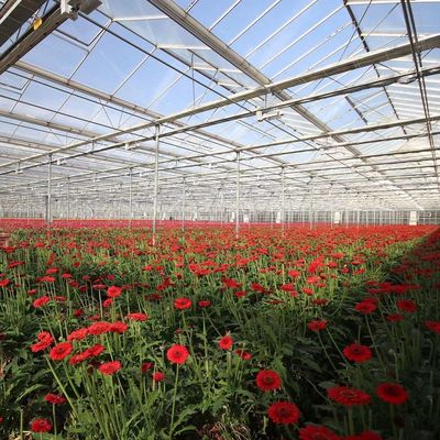 Origine Serre en verre végétale et florale avec méthode de culture hydroponique
