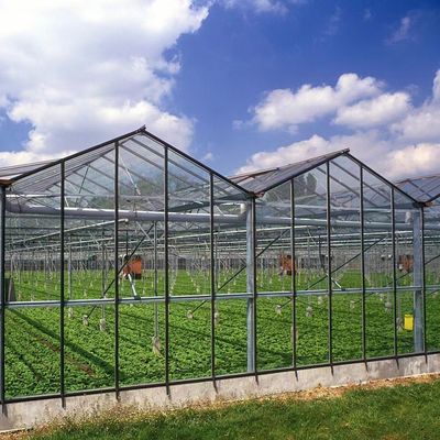 Personnalisation des serres en verre à longue portée écologique et délai de livraison estimé