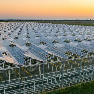 Personnalisation des serres en verre à longue portée écologique et délai de livraison estimé