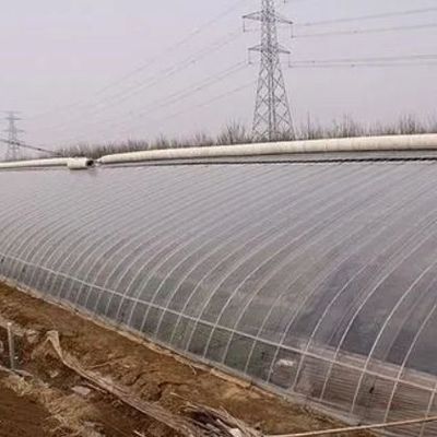 1209cm * 235cm * 239cm Taille du colis Serre pour la ferme de tomates et de concombres Paiement intégral