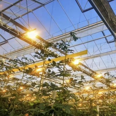 Serre en verre avec culture hydroponique personnalisée demande de toiture en forme de type A