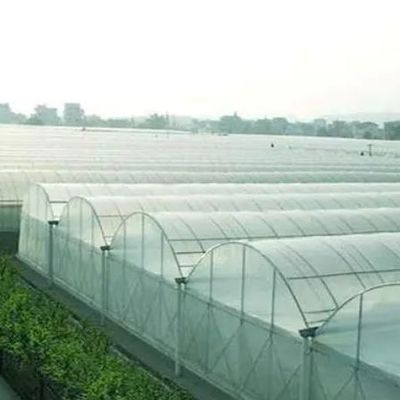 Option de personnalisation Système hydroponique Juxiang Serre à film de culture de légumes
