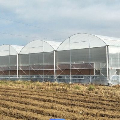 Serre à arc unique pour la culture des fleurs