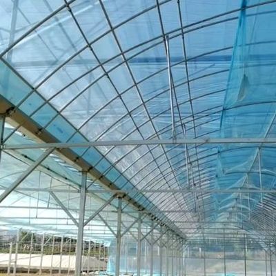 Serre à arc unique pour la culture des fleurs
