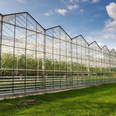 Serre en verre avec système de culture hydroponique