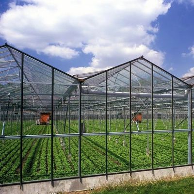 Serre en verre avec système de culture hydroponique