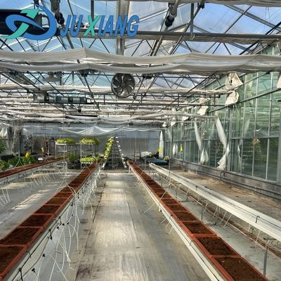 Serre en verre avec système de culture hydroponique