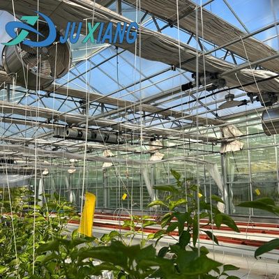 Serre commerciale abordable pour les légumes ou les fleurs