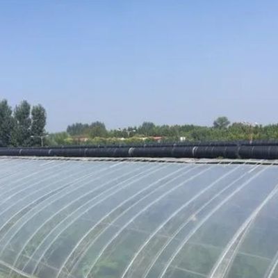 Serre à pellicule de toit en arc de chauffage temporaire pour la culture de tomates et de concombres