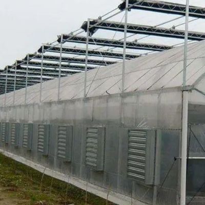 Serre à pellicule de toit en arc de chauffage temporaire pour la culture de tomates et de concombres