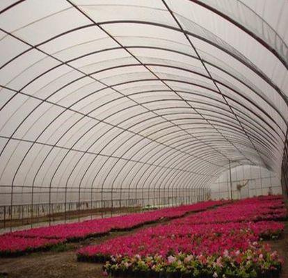 Serre hydroponique à double arc à poivre et à fleurs avec forme de toiture à plusieurs étendues