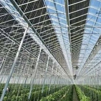 États-Unis Serre en acier galvanisé à chaud à plusieurs étendues 50.00cm * 60.00cm * 80.00cm