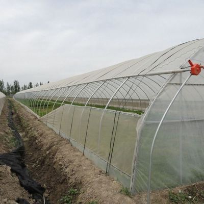 1209.00cm * 235.00cm * 239.00cm Serre à film pour la culture de tomates et de concombres