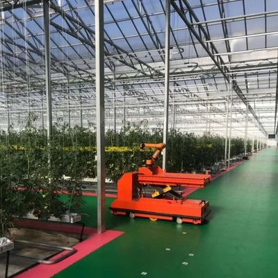 Serre en verre à longue portée de Venlo avec coût d'expédition et délai de livraison prévu