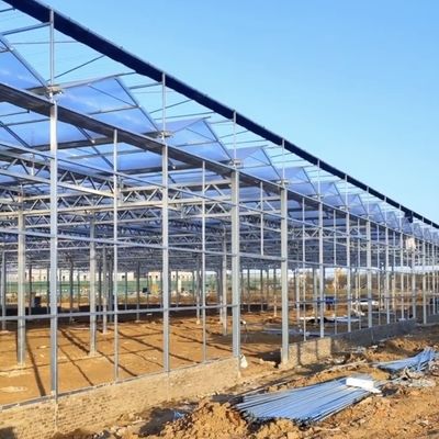 Serre en verre trempé à Venlo avec système de culture hydroponique
