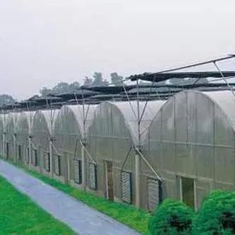 2000.000kg de paquetage Poids brut Système hydroponique à panneau unique pour serre à double arc