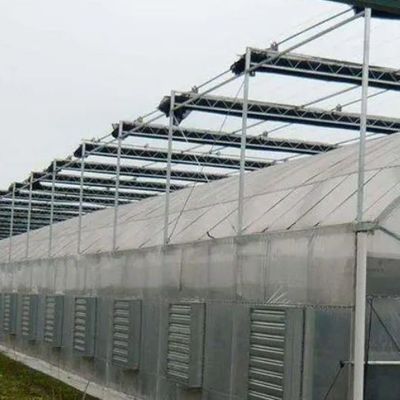 2000.000kg de paquetage Poids brut Système hydroponique à panneau unique pour serre à double arc