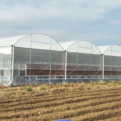 Système hydroponique de serre à film chauffant temporaire pour la plantation de légumes et de fleurs