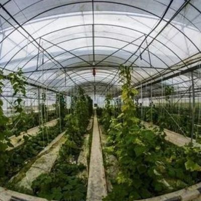 Système hydroponique de serre à film chauffant temporaire pour la plantation de légumes et de fleurs