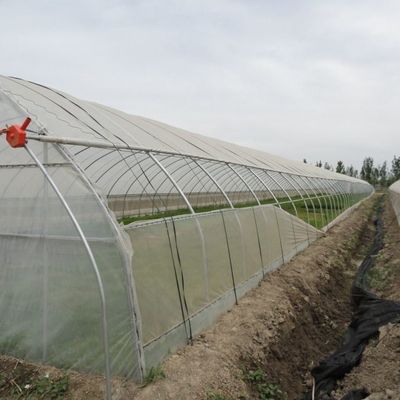 Système hydroponique de serre à film chauffant temporaire pour la plantation de légumes et de fleurs