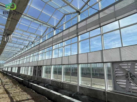 Structure d'acier Système de culture contrôlé par l'humidité Technologie de pointe de Juxiang