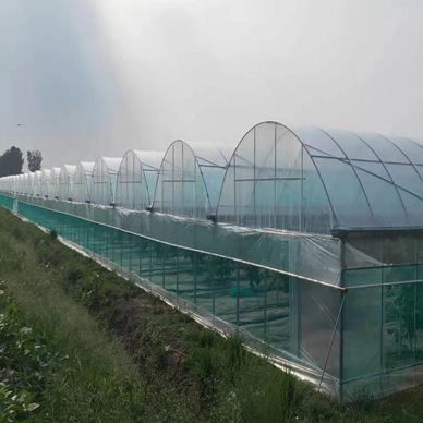 Système hydroponique antigouttes-brouillard adapté à l'hivernage des volailles et du bétail