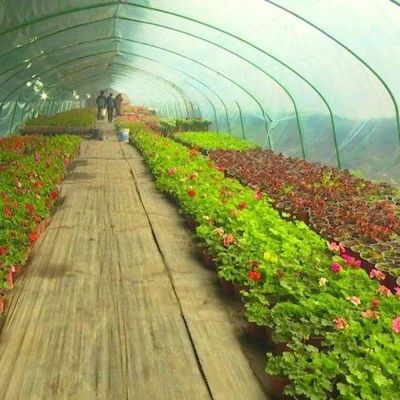 Système hydroponique antigouttes-brouillard adapté à l'hivernage des volailles et du bétail