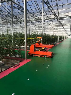 Installation de plantation à température contrôlée par Juxiang et solution de plantation abordable