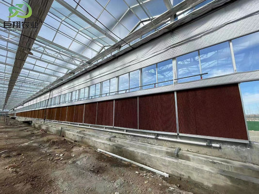 Surveillance précise et précise Serre hydroponique pour semis avec contrôle de l'humidité