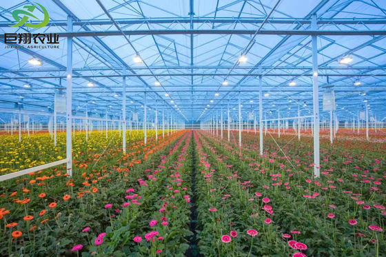 Surveillance précise et précise Serre hydroponique pour semis avec contrôle de l'humidité