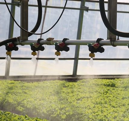 Système de prévention du brouillard de retour de 30 jours pour la production de fleurs dans une serre à toit en arc