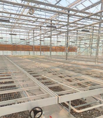 Serre hydroponique à contrôle d'humidité stromique avec toit en arc et conception multi-span
