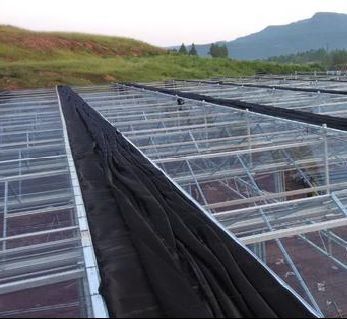 Serre hydroponique à contrôle d'humidité stromique avec toit en arc et conception multi-span