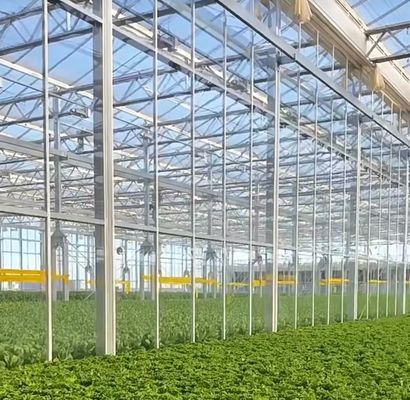 Serre hydroponique à contrôle d'humidité stromique avec toit en arc et conception multi-span
