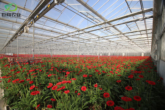 Serre d'ombrage extérieur pour le contrôle de l'humidité dans la production commerciale de serres