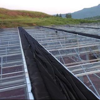 Serre hydroponique à double arc pour fleurs et tomates