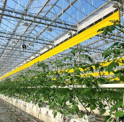 Serre hydroponique à double arc pour fleurs et tomates