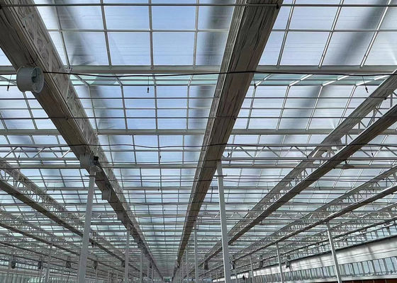 Installation de semis hydroponiques à l'ombre à l'intérieur avec une grande capacité et une culture