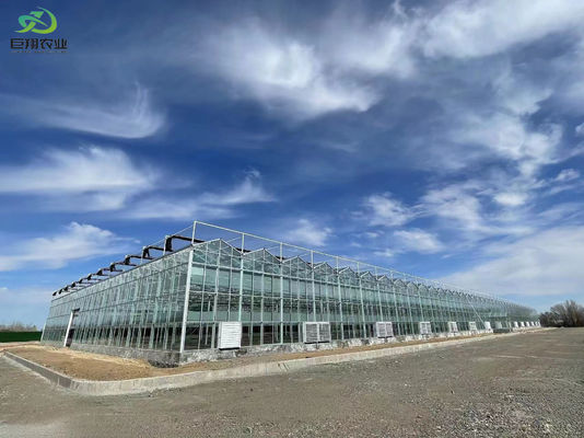 Installation de semis hydroponiques à l'ombre à l'intérieur avec une grande capacité et une culture