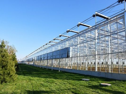 Juxiang prime s Environnement contrôlé Système de serre dans les matériaux de construction