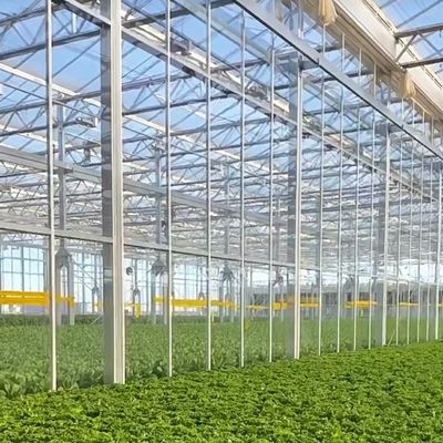 JX-H0068 Serre à technologie antigouttes pour la personnalisation des fleurs et des tomates