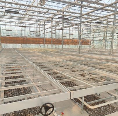 - Fait une serre hydroponique avec technologie anti-goutte à goutte