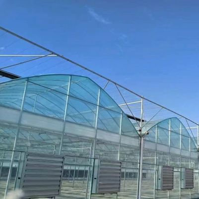 Structure à double arc - Serre hydroponique conçue pour les besoins de production agricoles mixtes
